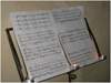 3 august 2007 - Cisnadie, Biserica Fotificata, ora 18.00, Concurs cu public, sectiile compozitie, interpretare, jazz